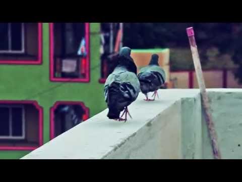 Jayakrishnan P T another passionate creation