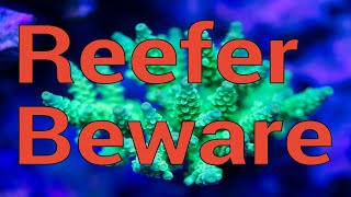 Beware: Things in your reef tank that can kill you