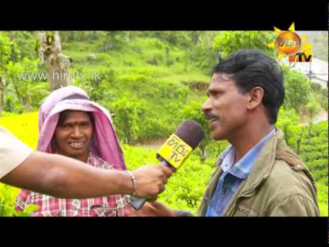 Hiru TV