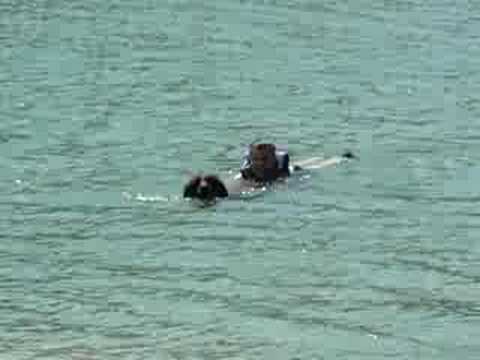 Exercise 6: The Rescue 2