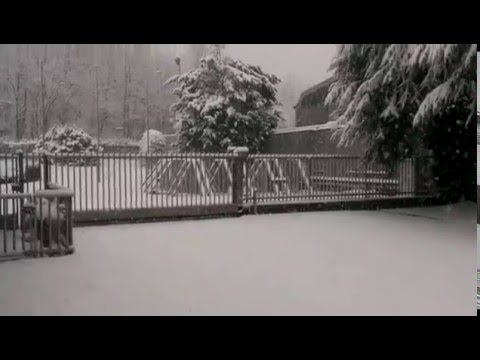 Nevicata 11 febbraio 2013 (pomeriggio)