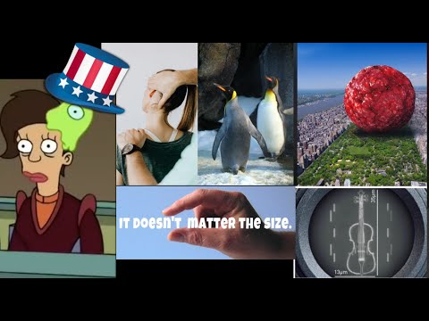 TWWWTT#328Human meatball, eugenics, if satire was real, Texan brain eating amoeba,& Morningglory LSD