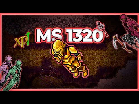 MS 1320 Hunt Solo Brain Grounds 22kk/h (225%) - Tibia Hunt #tibia #tibiahunt #hunts
