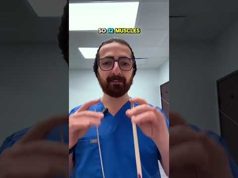 Double vision in BVD isn’t just an “eye problem”—it’s caused by eye misalignment, controlled by 6