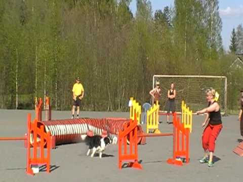 Tazman eka 0-voitto 3-luokassa