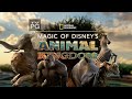 Magic Of Disney S Animal Kingdom S 2 Clips