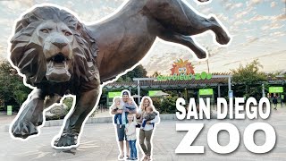SAN DIEGO ZOO | LEOPARD GETS INTIMIDATED BY QUADRUPLETS!
