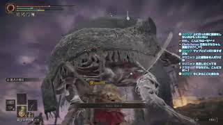 【 エルデンリング】すべてのボス撃破を目指してしゅっぱ～つ【ELDEN RING】#20