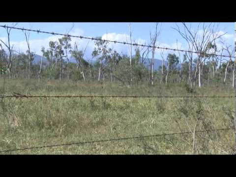 QFF Carbon Farming Video Clips -Bev Henry 230513