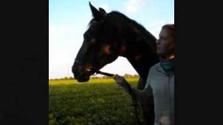 Meet me at the rainbow's end