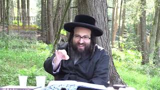 חיזוק יומי רבי יואל רוטה שליט"א - א גוי נעמט נישט צאם קיין ברעקלך!