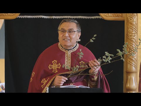 Pr. Nicu Pavel - Dumnezeu cerceteaza pamantul, inaintea Venirii Fiului Sau | Duminica Floriilor 2021