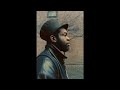 JERU THE DAMAJA - Black Cowboy