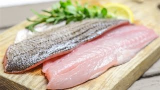 【How to】 Bleed A Striped Bass