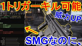 【CoD:MW実況】１トリガーキル可能なSMGがストライカーな件。【Striker 45＝実況者あたらしいこくご】