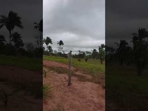 sertão de Amarante do Maranhão