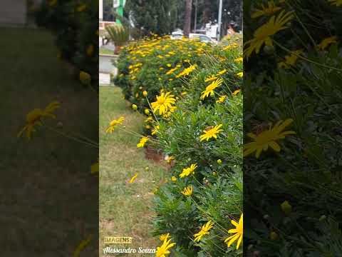 PARAGUAÇU-MG