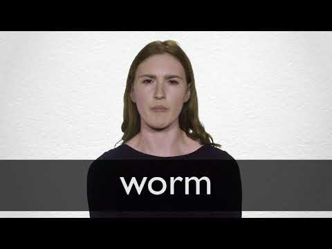 worm man în engleză