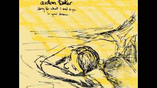 Aidan Baker - Orchids