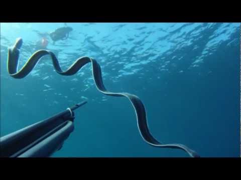Peste inc per parassiti Brodo di lino da vermi