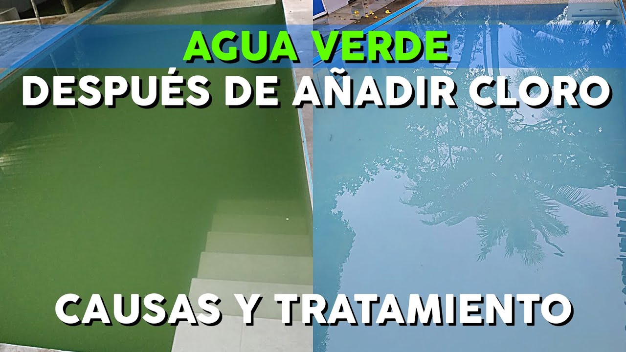 AGUA VERDE DESPUÉS DE AÑADIR CLORO | SOLUCIÓN