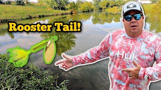 How Does A Rooster Tail Catch So Many Fish?