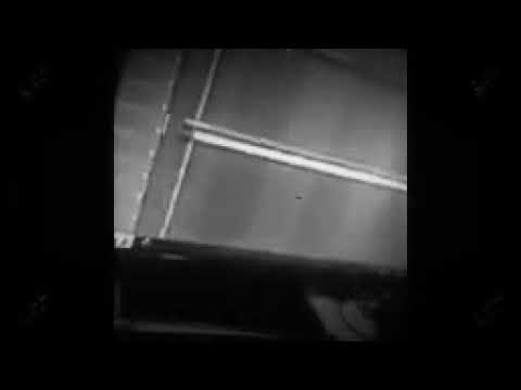 Pocoto remix chimbala ❎ lirico en la casa ❎ el cherry ❎ el mayor ❎ musicologo.