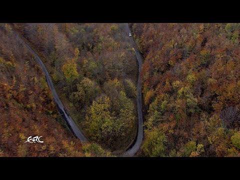 RALLY HUNGARY 2020 - The Colours Of Rallying In Autumn