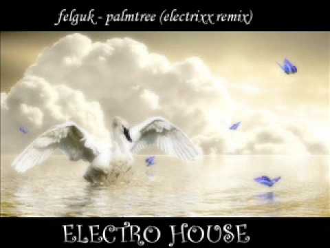 felguk palmtree electrixx remix