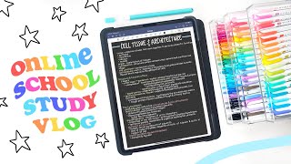 Study With Me | 40 Minutes of Productivity 🌼