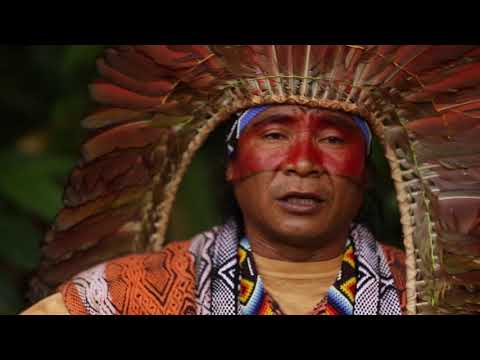 Medicina Cura - Ninawa Pai da Mata (part. especial NAI)