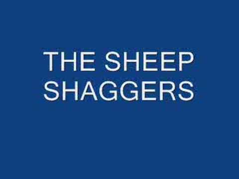 sheep shaggers
