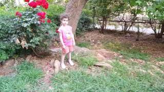 המצלמה הטובה ביותר בעולם מיליון פיקסלים חובה חובה לצפייה