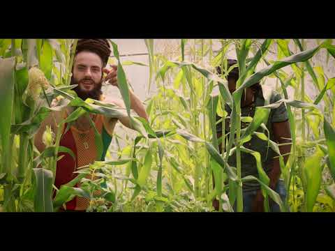 King Joe Reggae & Mighty Karma - Gwan Farmer (I Know My Self Riddim - Marshall Neeko) Official Video
