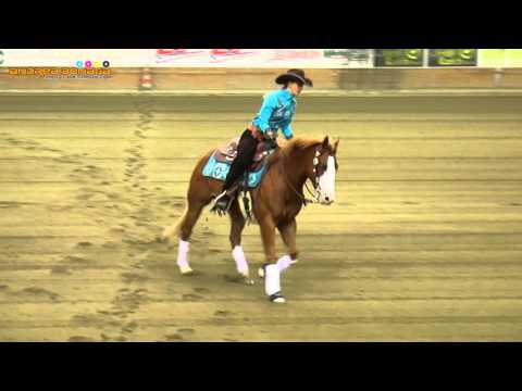 SCHUMACHER GINA - ARC GUNS M OAKS