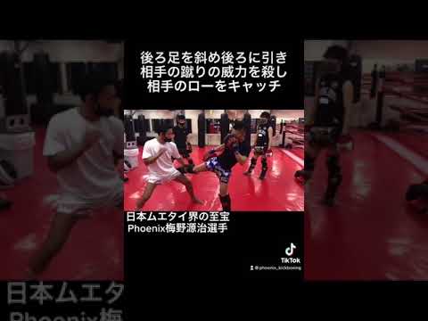 右ローキックのキャッチと効果的なカウンターのポイント