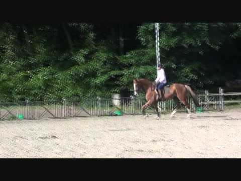 Bowie, Goodtimes x Gershwin