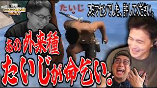 外来種たいじ、負けを認める【2026/08/04】
