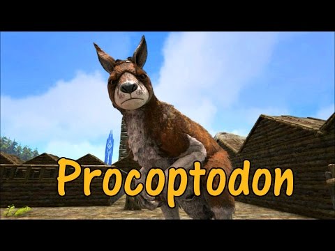 Procoptodon Educational Special [23]
