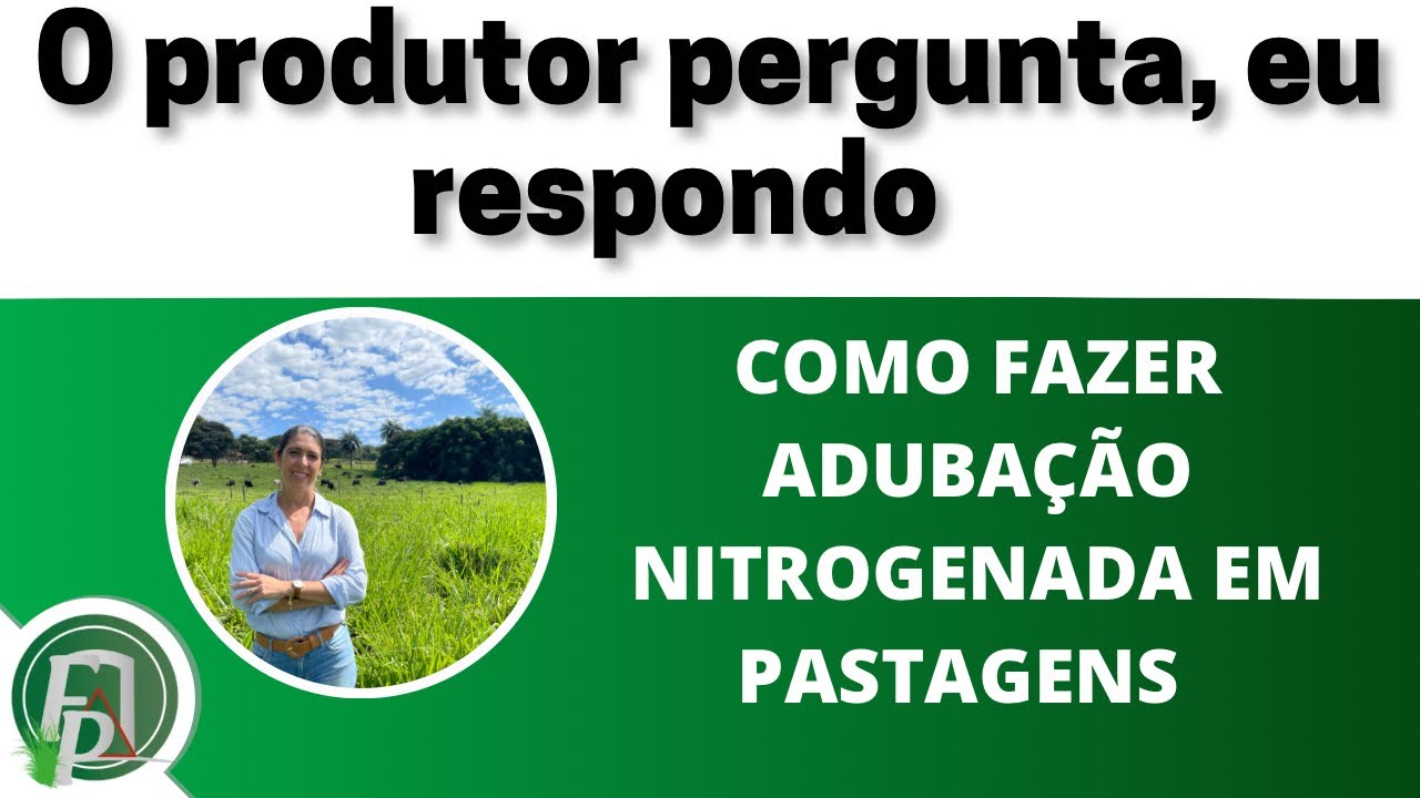 COMO FAZER ADUBAÇÃO NITROGENADA EM PASTAGENS: O produtor pergunta, eu respondo