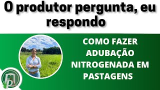 COMO FAZER ADUBAÇÃO NITROGENADA EM PASTAGENS: O produtor pergunta, eu respondo