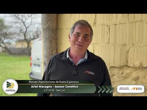 23-10-26 - Ariel Macagno - Asesor Genético - Remate Reproductores de Buena Esperanza - San Luis