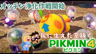 【ピクミン4】続・オッチンの尻を綺麗にする！【リスナーさんからの貢物】