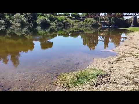 Rio Colchol Nueva Imperial #araucanía #chile#imperial  #surdechile 