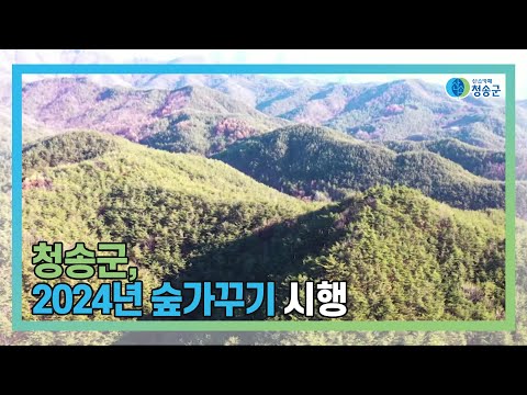 [뉴스와이드 청송] 청송뉴스 11월 4주차