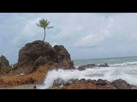 Praia de Tambaba Litoral Sul Paraiba #Conde #shorts #shorts #eueDeues #100 #agro #sitio #automobile 
