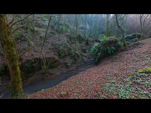 Vasanello con DJI Avata 2 e Osmo Pocket 3