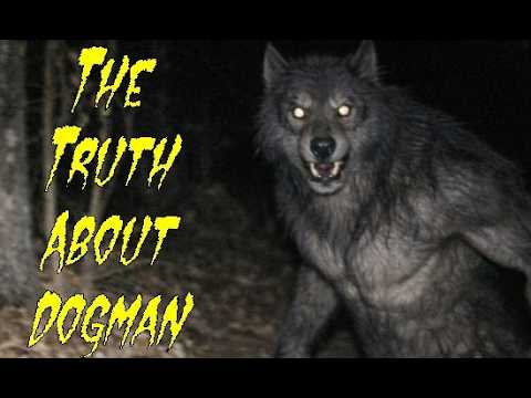 (E.119) More Truths About Dogman Part 2