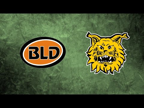 23.8.2020 - BLD vs Ilves Ringette D