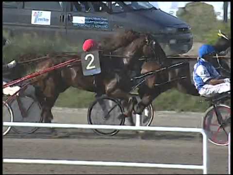 Trotto 09/10/2014 - 4° corsa